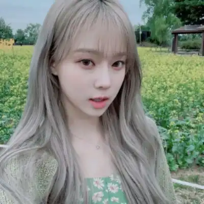 盖菊华 盖菊华